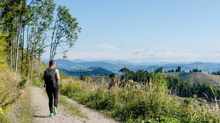 Die Erlebnisregion Graz