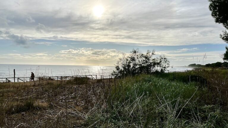Naturpark Foce del Tagliamento