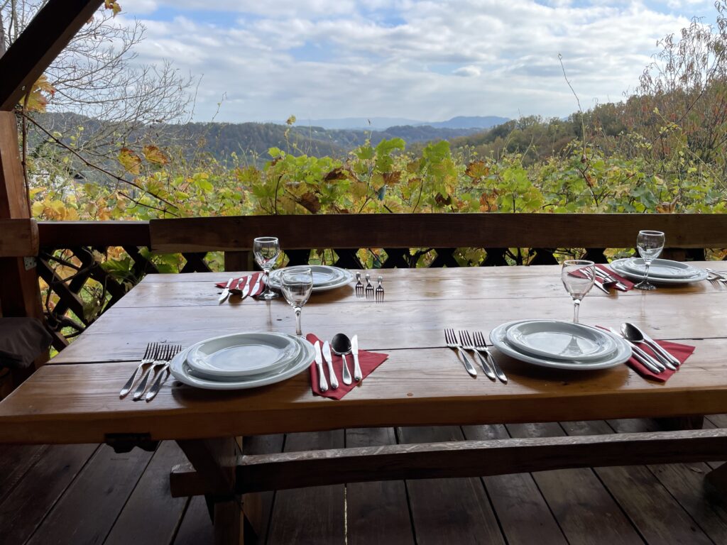 ein gedeckter Tisch in einem Restaurant mit tollen Ausblick ins Grüne