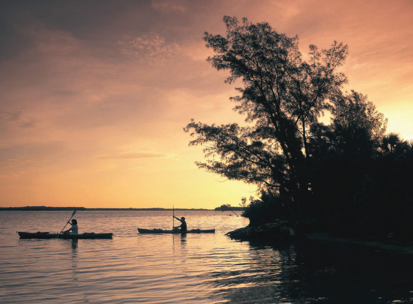 Kayaking Mangroven St Pete
