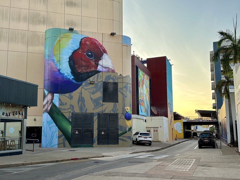 Darwin Northern Territory Murals
