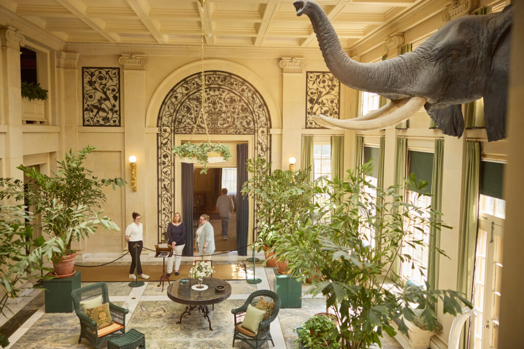 George Eastman Museum New York