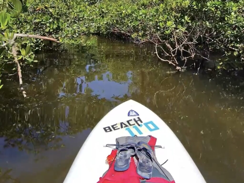 Don Pedro Island State Park Florida