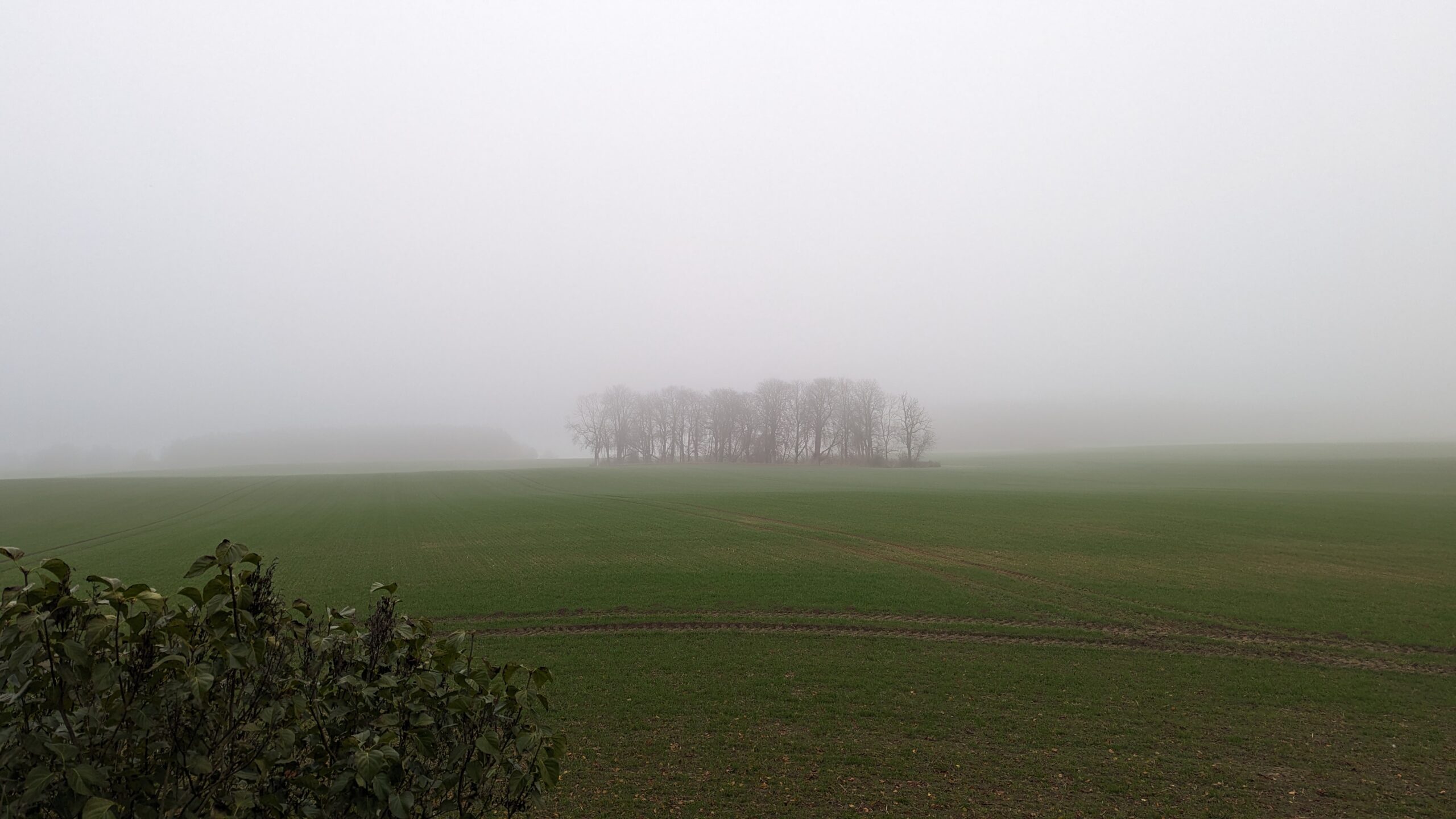 Mecklenburgische Seenplatte Nebel