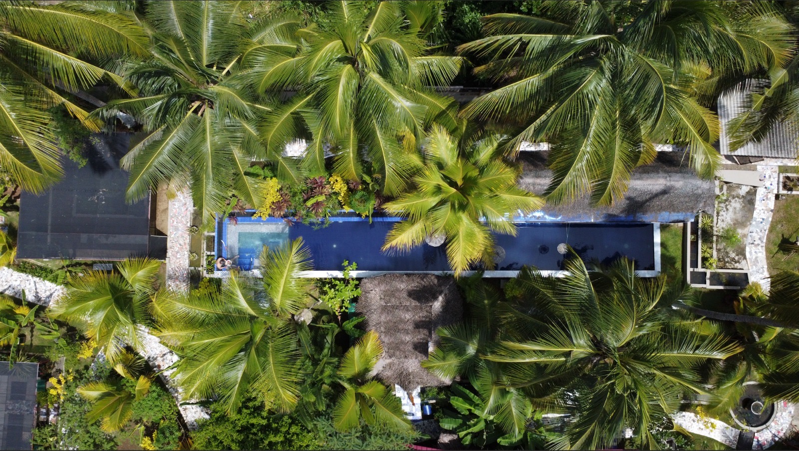 Garten und Pool der Red Coconut Villa