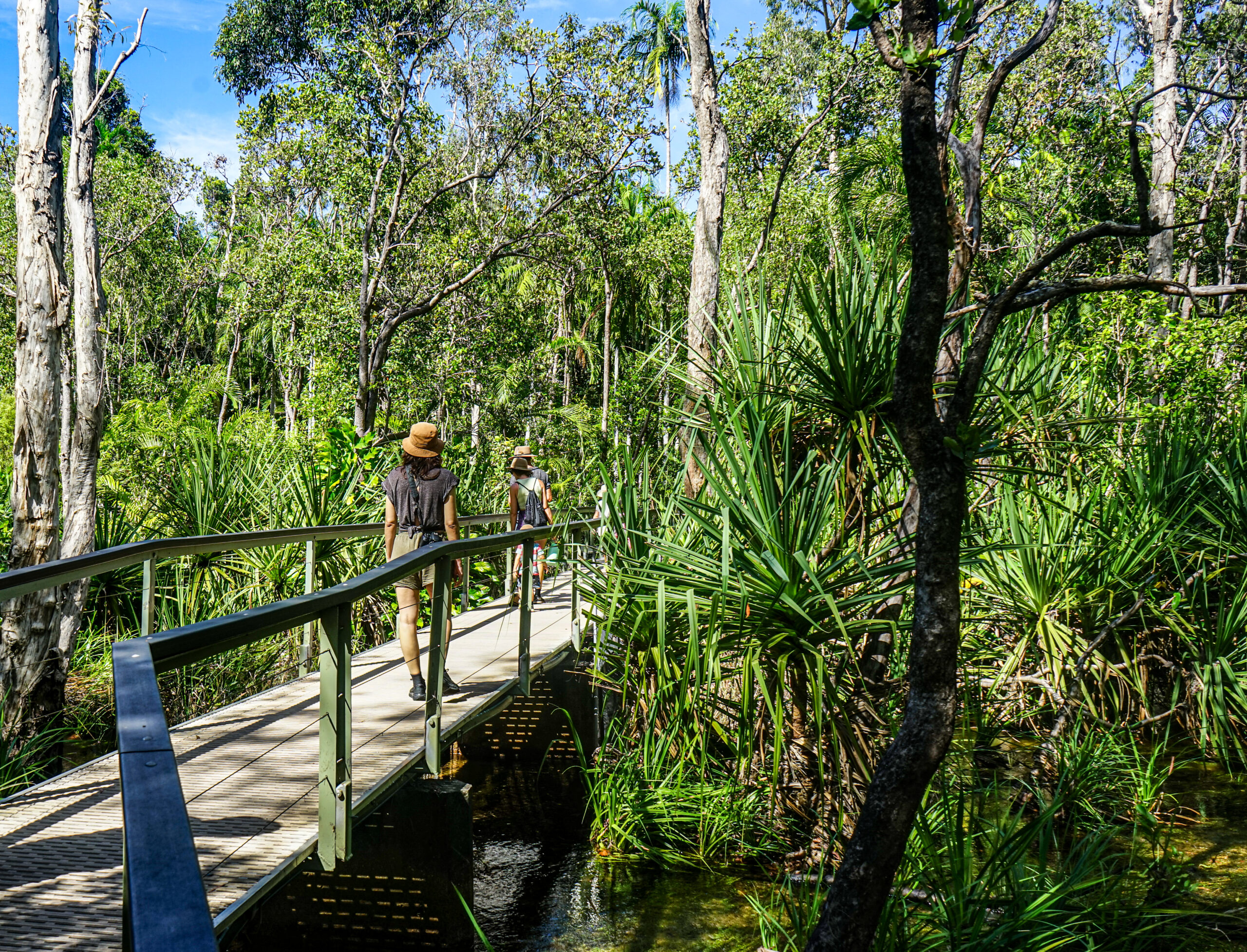 Litchfield-Nationalpark, Northern Territory Australien