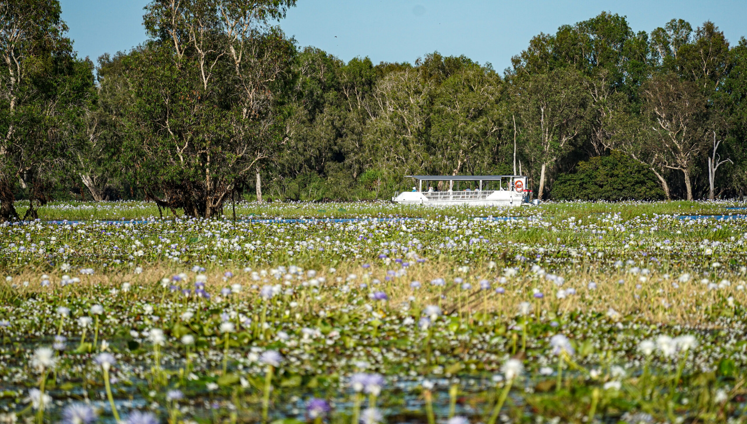 Kakadu-Nationalpark, Boot, Yellow Waters