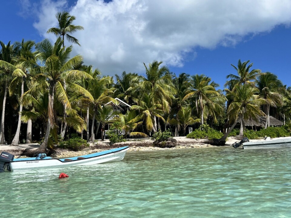 Dominikanische Republik Palmen Strand