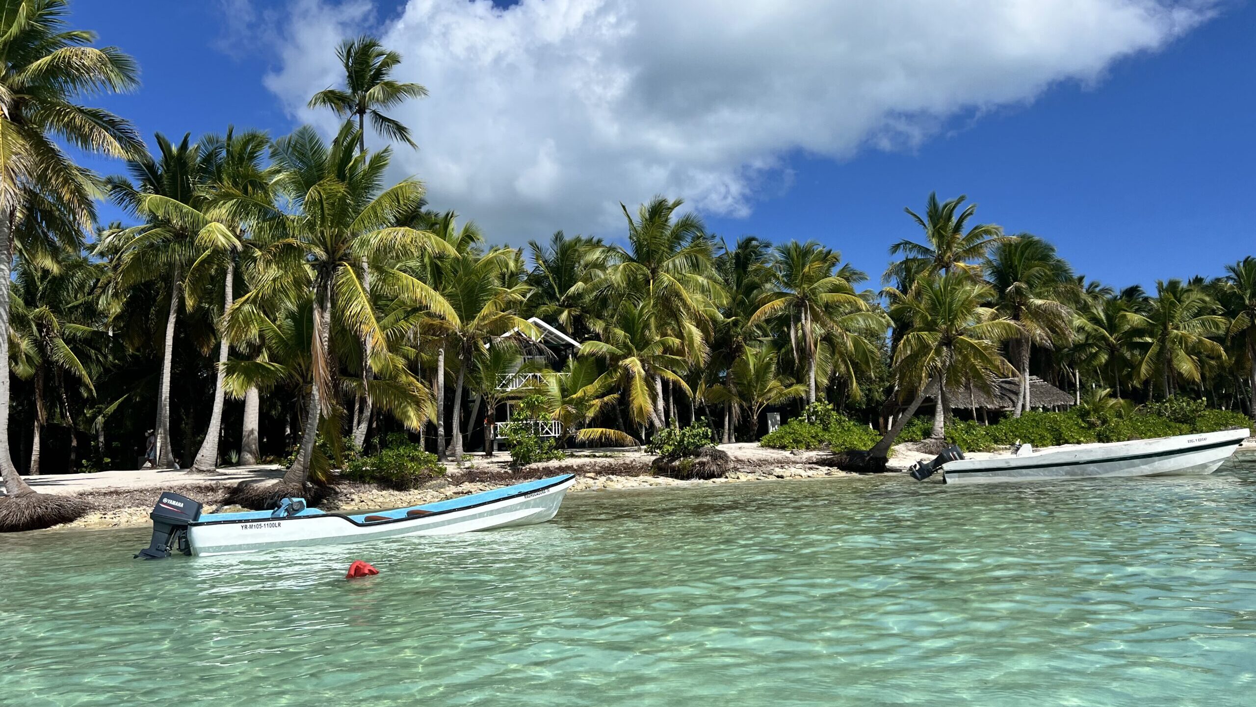 Dominikanische Republik Palmen Strand