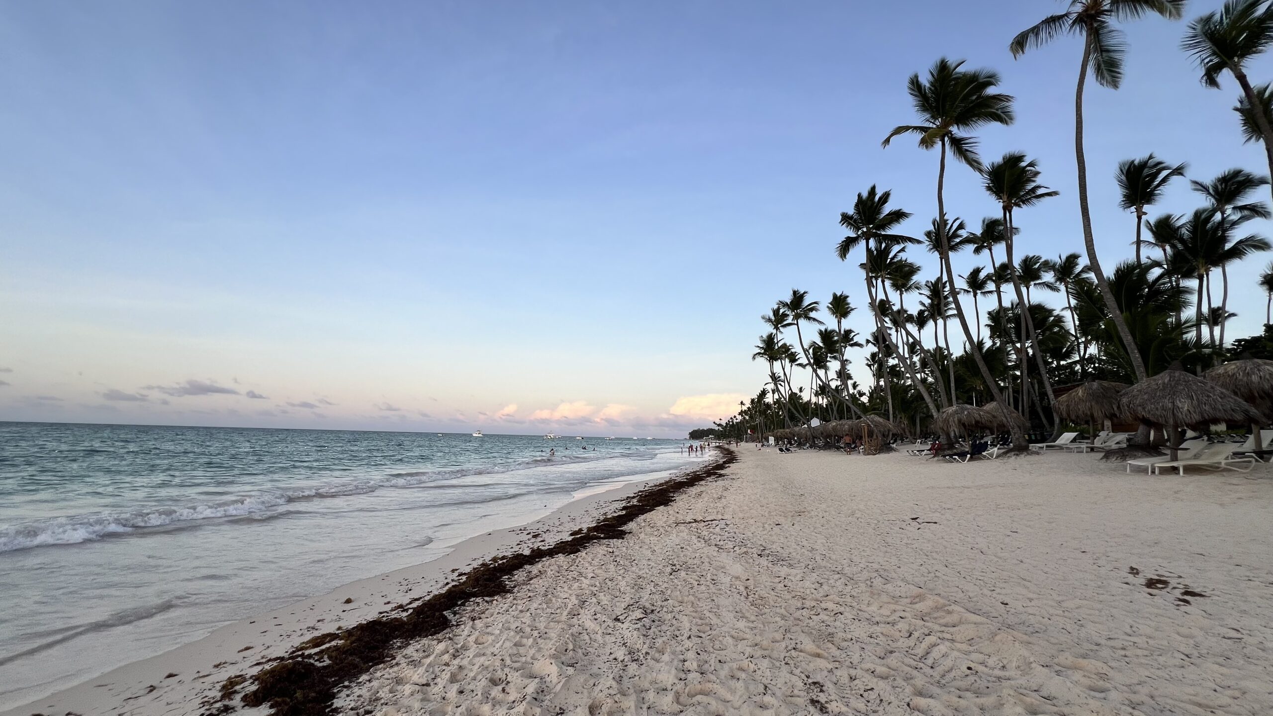 Grand Palladium Punta Cana Strand Dominikanische Republick Palmen