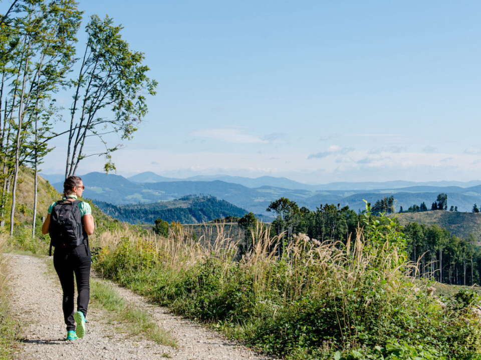 Die Erlebnisregion Graz