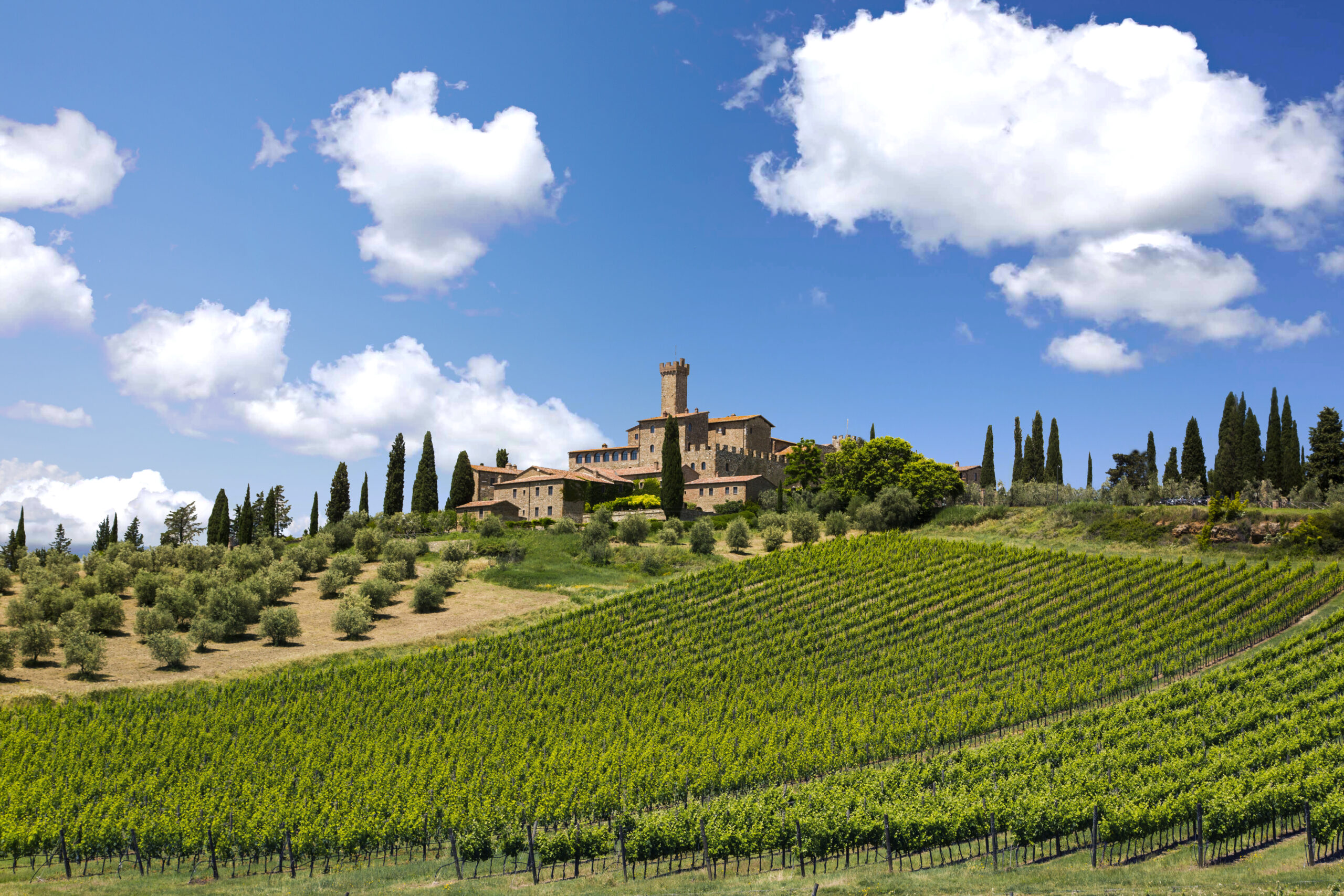 Das Castello Banfi 
