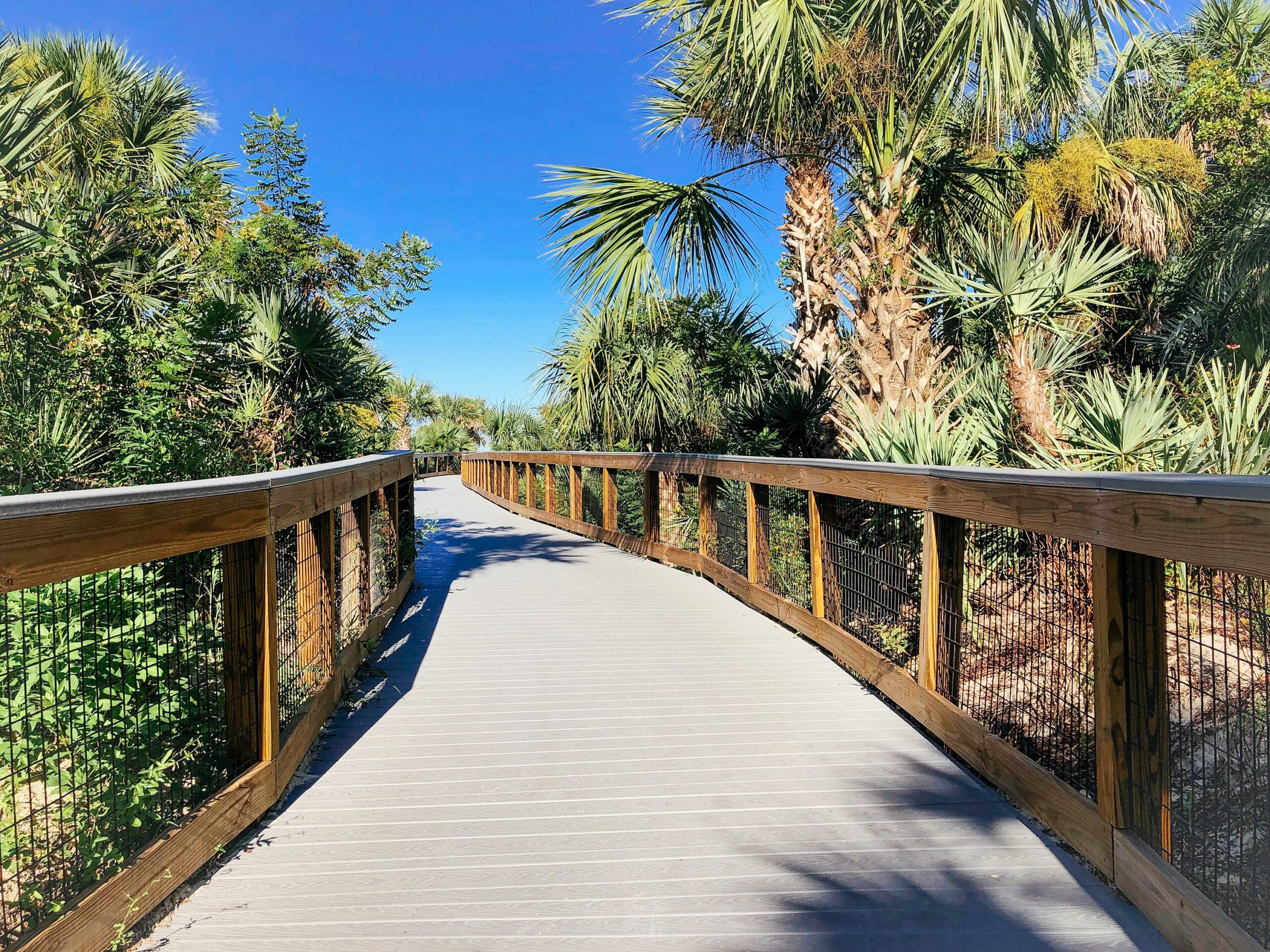 New Smyrna Beach Dunes Florida USA