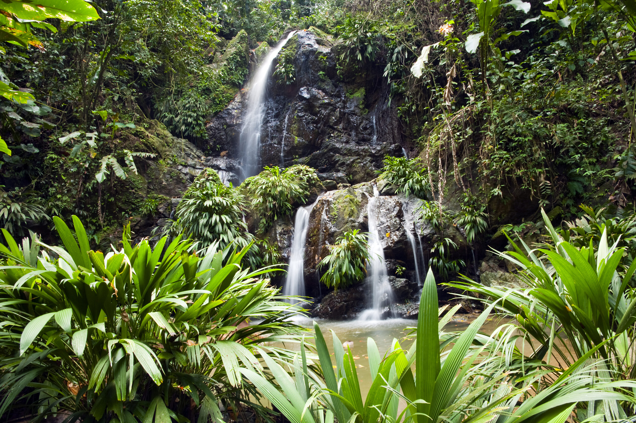 Tobago Waterfall