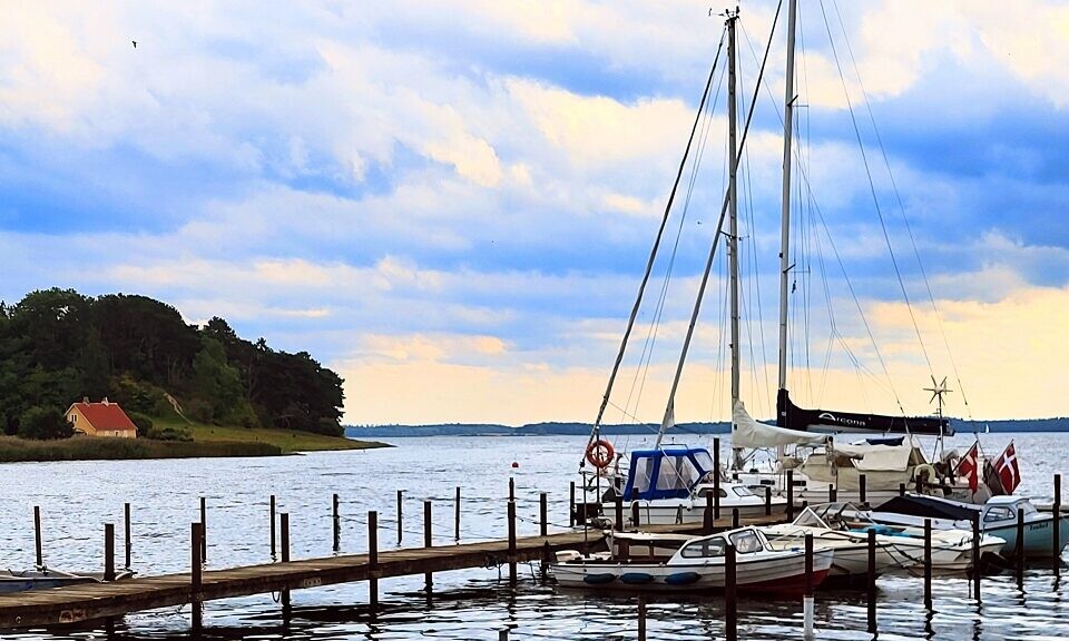 Segelboote und kleine Motorboote liegen vertäut an einem hölzernen Pier im Roskilde-Fjord, mit einem bewaldeten Ufer und einem Haus mit rotem Dach im Hintergrund. Der Himmel ist bewölkt und die Wasseroberfläche ruhig.