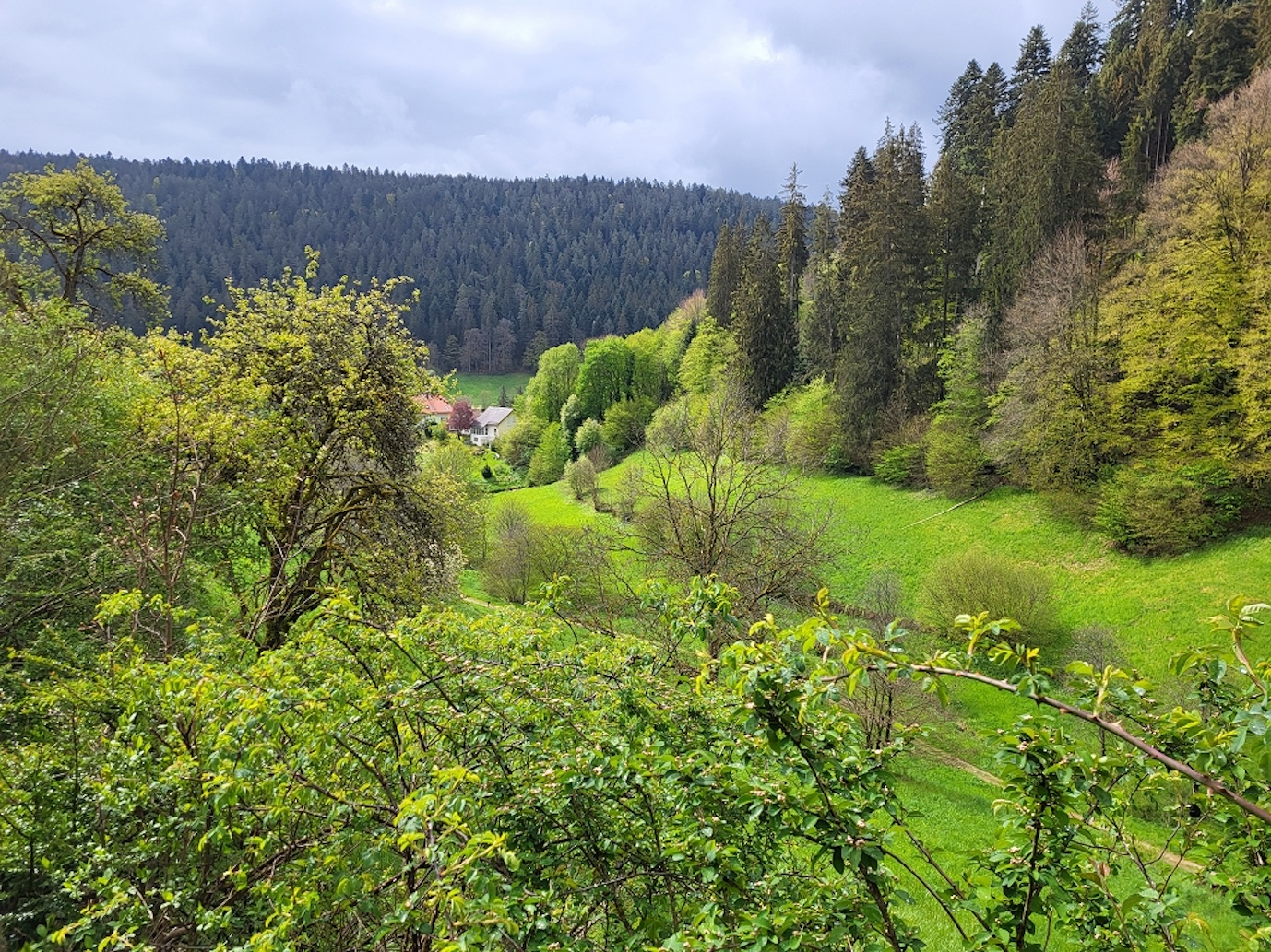Wandern im Schwarzwald
