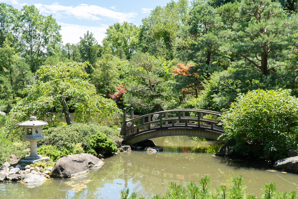 Brücke über ein Gewässer in Andersons Japanese Garden