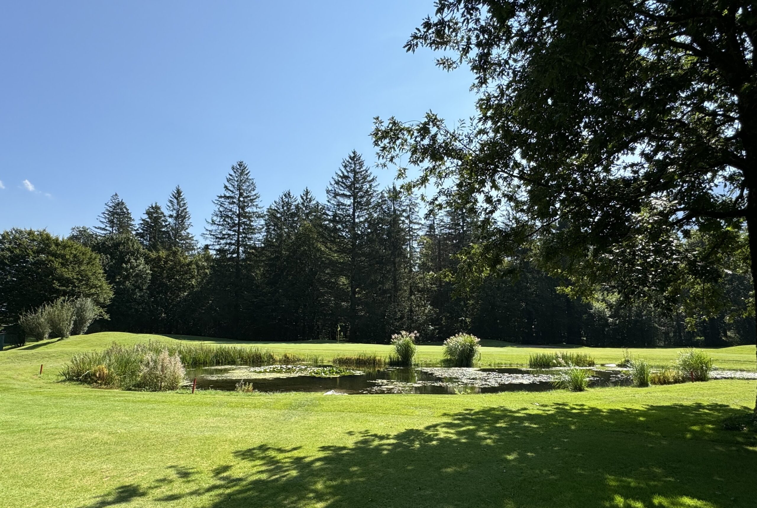 Golfplatz im Salzkammergut, umgeben von grünen Wiesen, Bäumen und Hügeln, ein idyllisches Naturjuwel in einer ruhigen Umgebung.