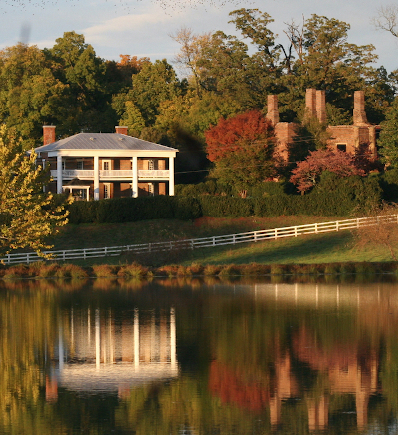 Historische Gebäude und Ruinen auf dem Anwesen von Barboursville Vineyards spiegeln sich im Wasser