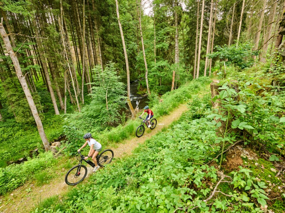 Zwei Mountainbiker auf einem schmalen Waldweg im Fichtelgebirge
