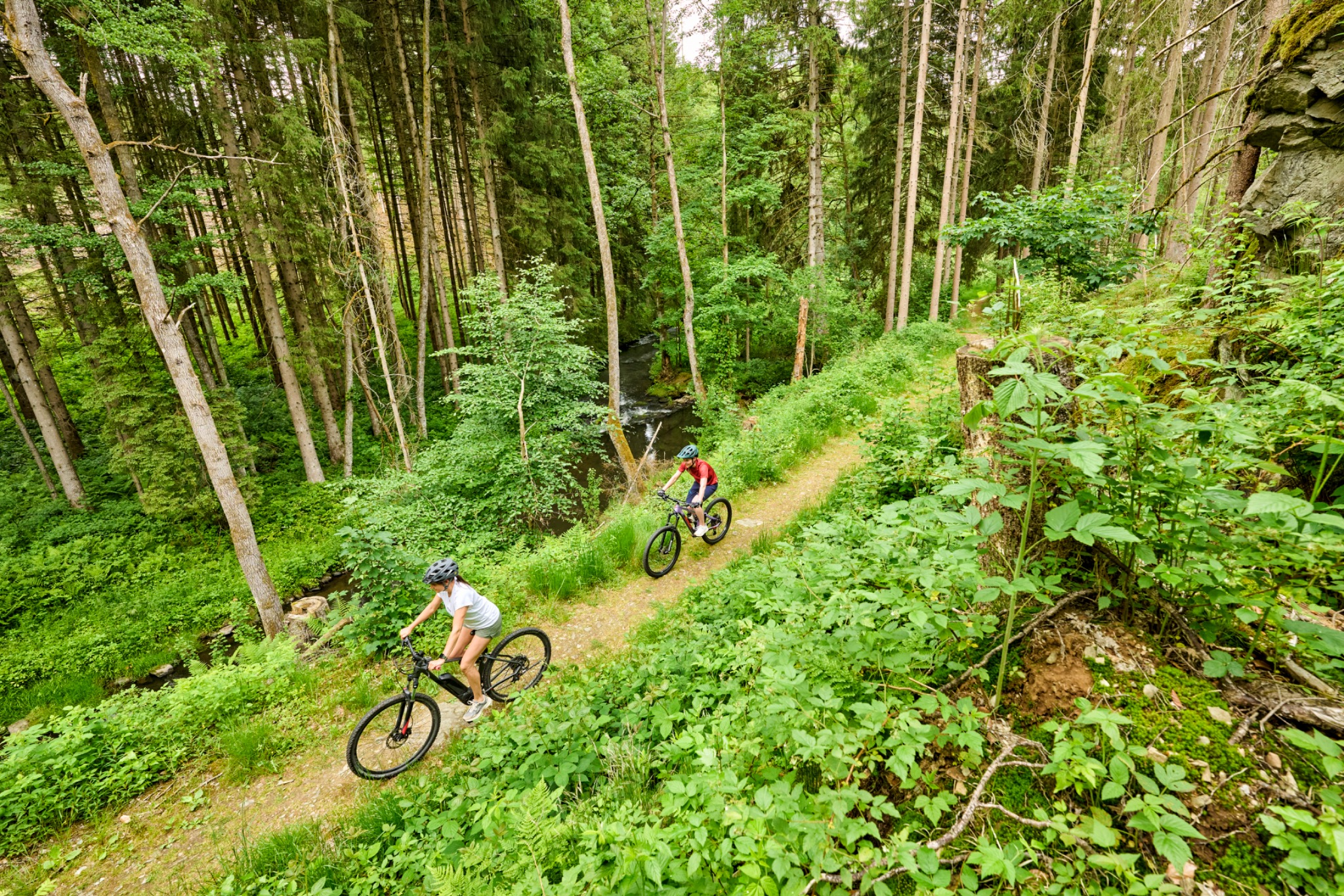 Zwei Mountainbiker auf einem schmalen Waldweg im Fichtelgebirge