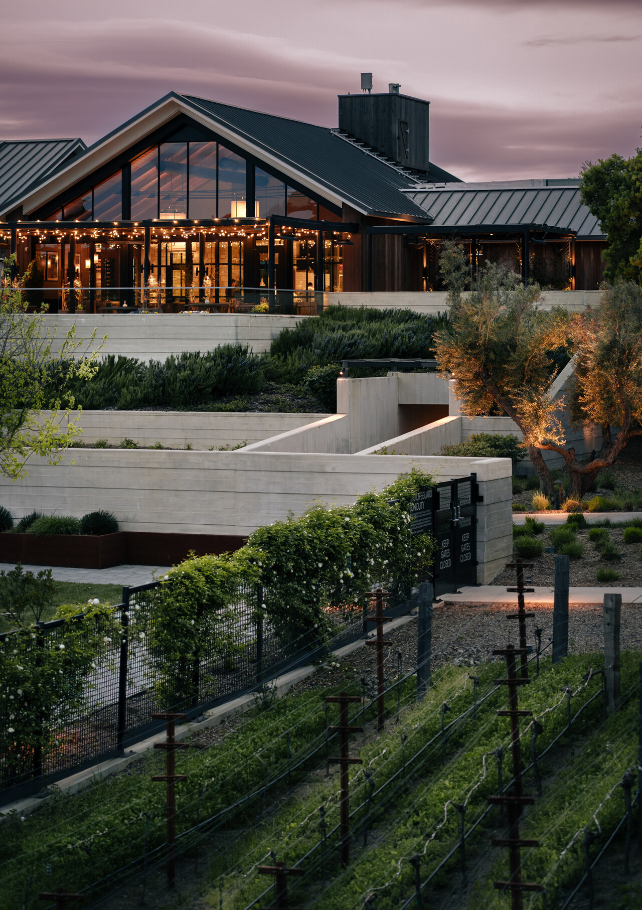 Weingut zwischen Reben im Napa Valley in der Abenddämmerung