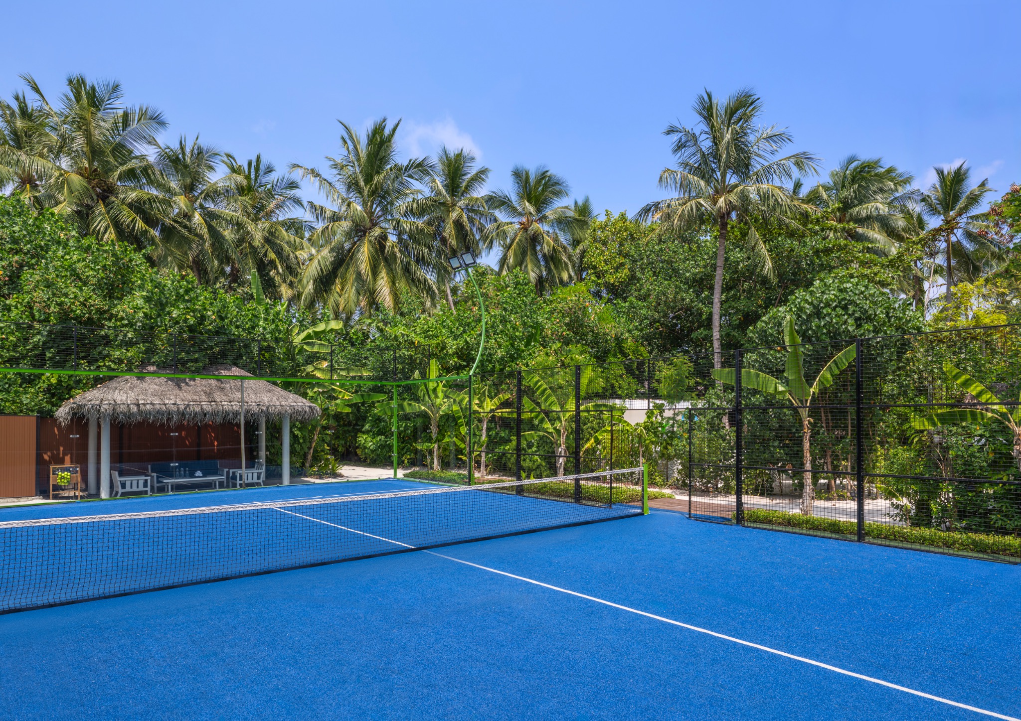 Blauer Padel-Court zwischen Palmen im The Halcyon Maldives