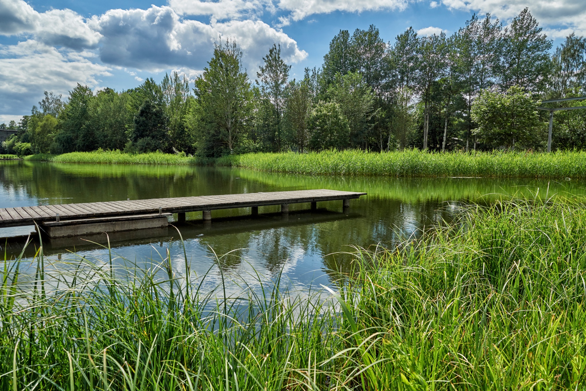 Holzsteg an einem See mit Schilf und Wald im Landkreis Wunsiedel