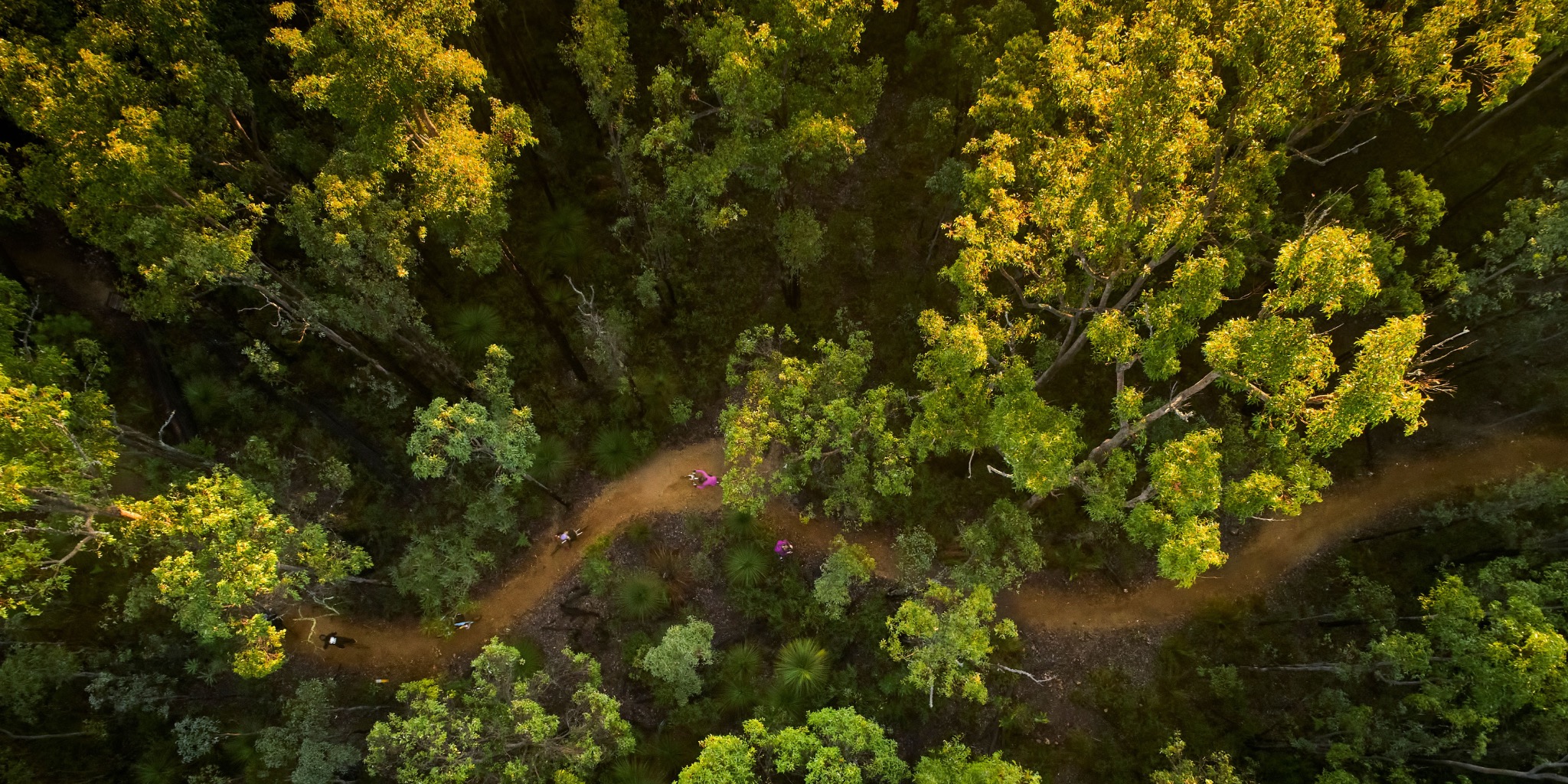 Zwei Radfahrer auf einem unbefestigten Weg durch dichten Wald, aus der Luft fotografiert.